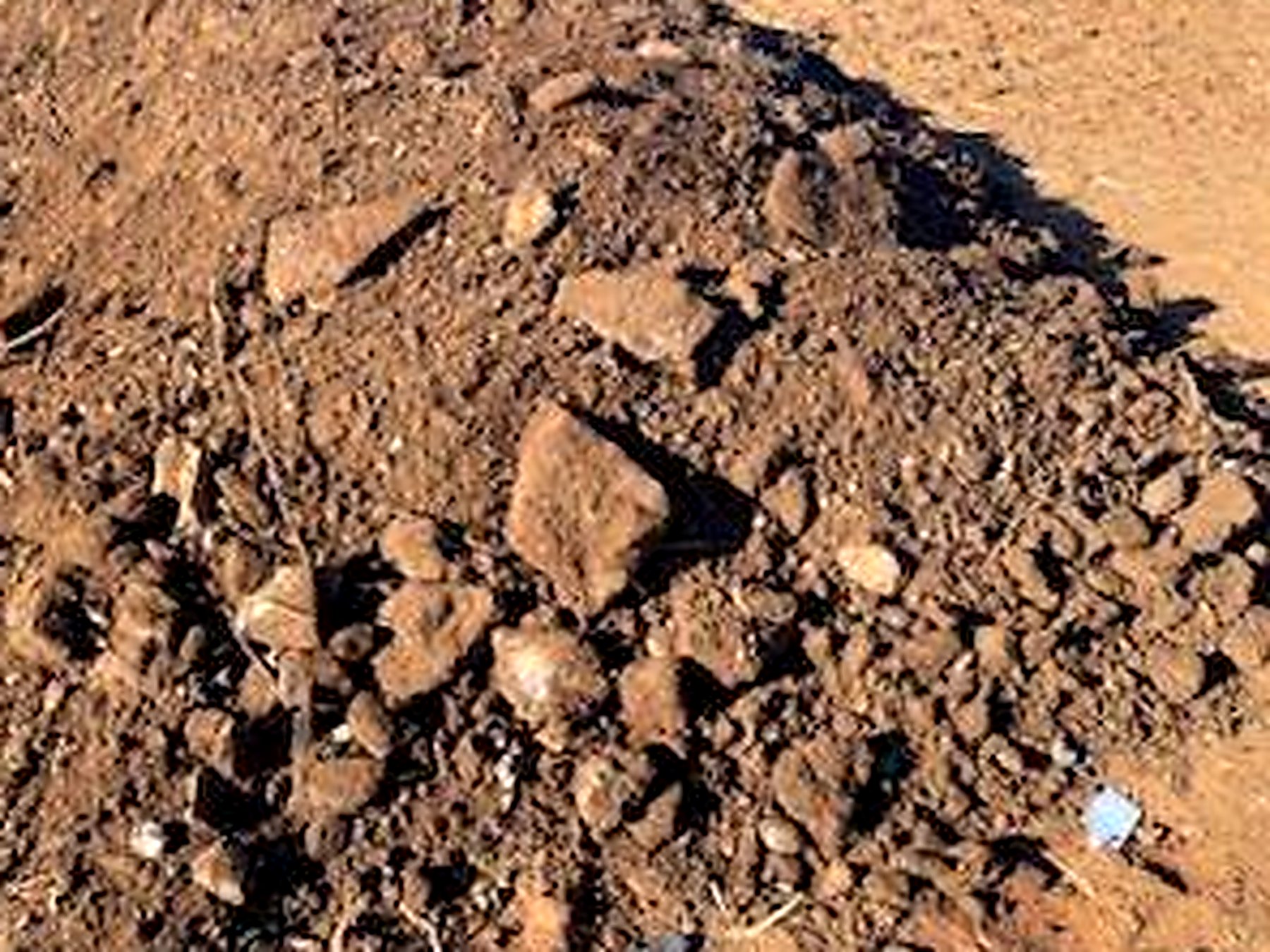 Common Fill