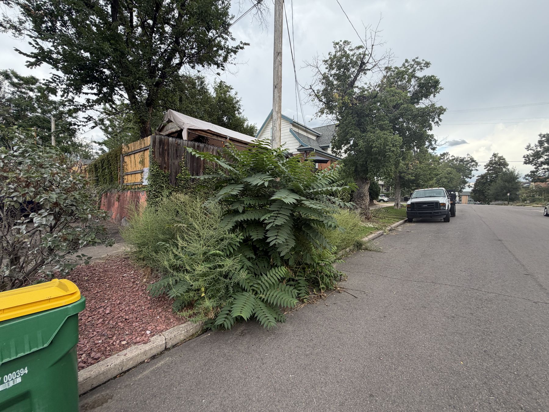 Site restoration — before